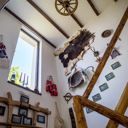 Casa Mosului - Transfagarasan Bed & Breakfast Cîrţişoara Zewnętrze zdjęcie