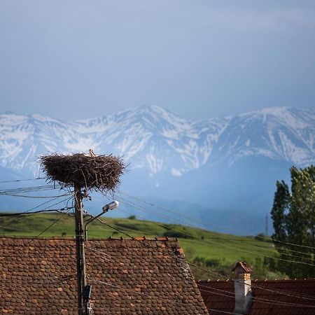 Casa Mosului - Transfagarasan Bed & Breakfast Cîrţişoara Zewnętrze zdjęcie