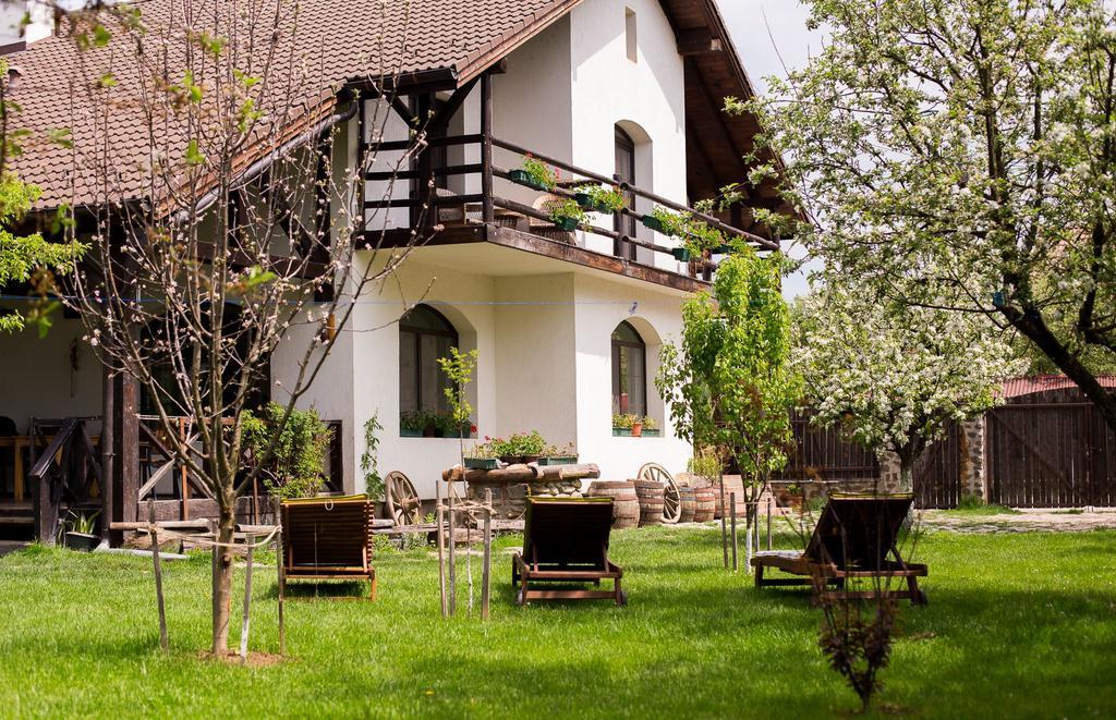 Casa Mosului - Transfagarasan Bed & Breakfast Cîrţişoara Zewnętrze zdjęcie