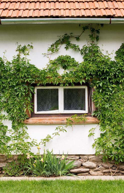 Casa Mosului - Transfagarasan Bed & Breakfast Cîrţişoara Zewnętrze zdjęcie
