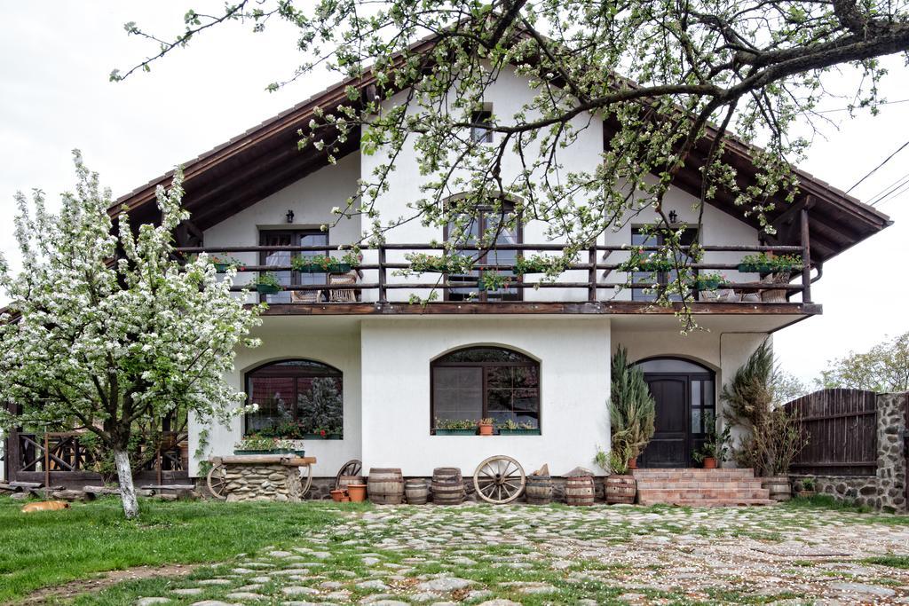 Casa Mosului - Transfagarasan Bed & Breakfast Cîrţişoara Zewnętrze zdjęcie