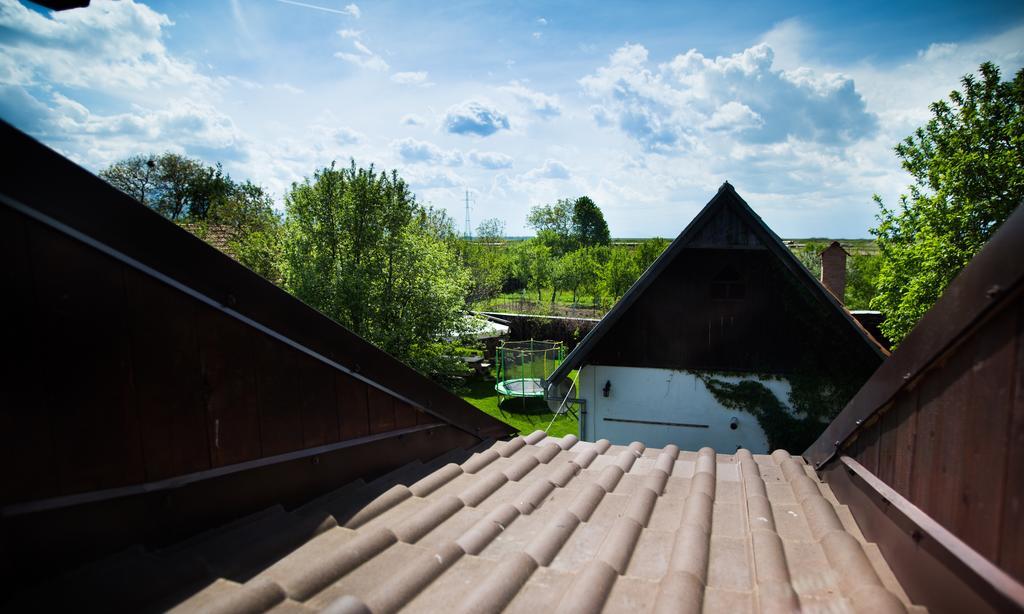 Casa Mosului - Transfagarasan Bed & Breakfast Cîrţişoara Zewnętrze zdjęcie