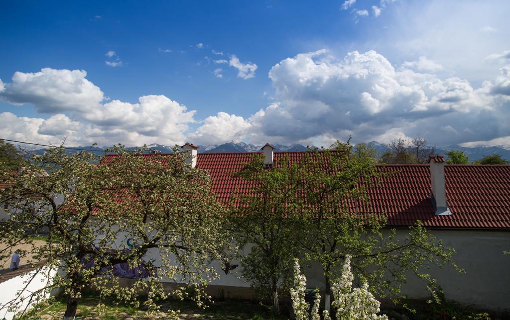 Casa Mosului - Transfagarasan Bed & Breakfast Cîrţişoara Zewnętrze zdjęcie