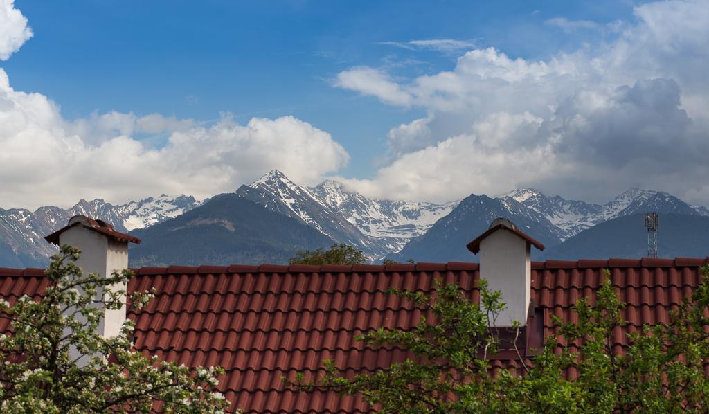Casa Mosului - Transfagarasan Bed & Breakfast Cîrţişoara Zewnętrze zdjęcie