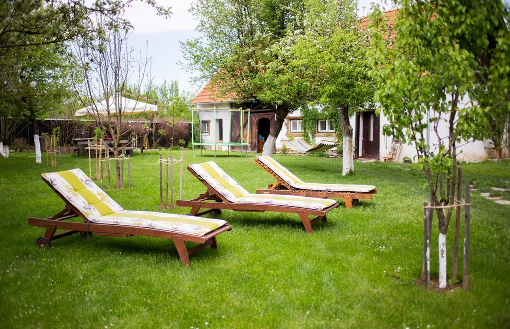 Casa Mosului - Transfagarasan Bed & Breakfast Cîrţişoara Zewnętrze zdjęcie