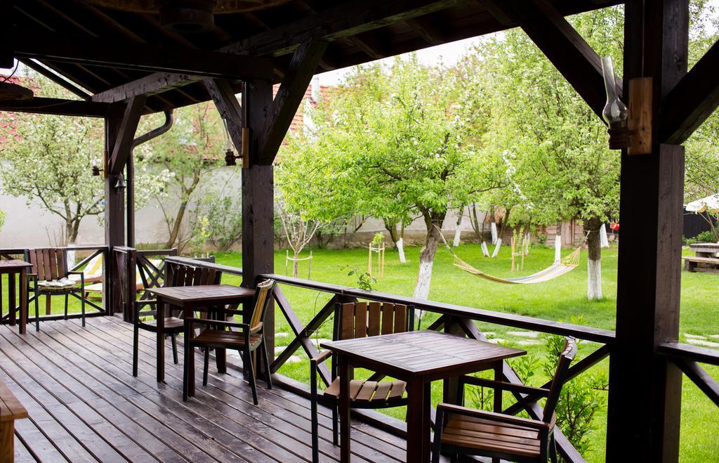 Casa Mosului - Transfagarasan Bed & Breakfast Cîrţişoara Zewnętrze zdjęcie