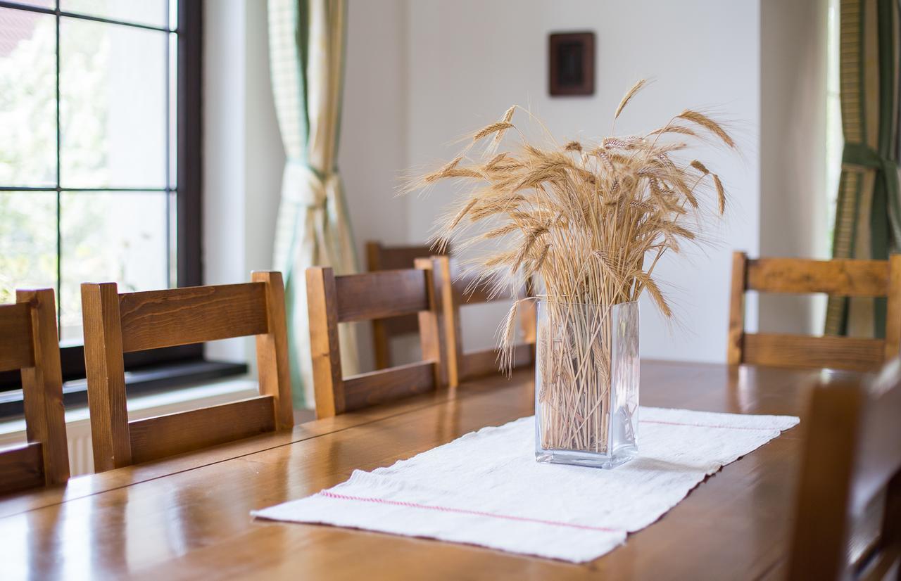Casa Mosului - Transfagarasan Bed & Breakfast Cîrţişoara Zewnętrze zdjęcie