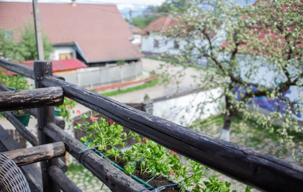 Casa Mosului - Transfagarasan Bed & Breakfast Cîrţişoara Zewnętrze zdjęcie
